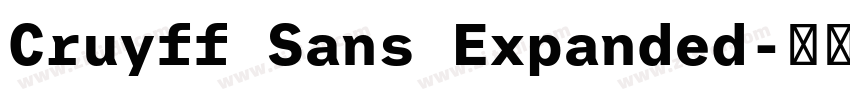 Cruyff Sans Expanded字体转换